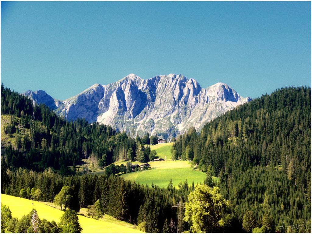 Waldhaus Appartement Sankt Martin am Tennengebirge Buitenkant foto