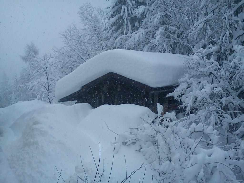 Waldhaus Appartement Sankt Martin am Tennengebirge Buitenkant foto