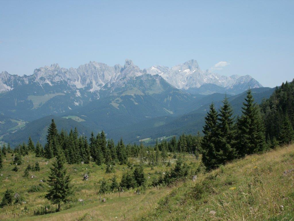 Waldhaus Appartement Sankt Martin am Tennengebirge Buitenkant foto