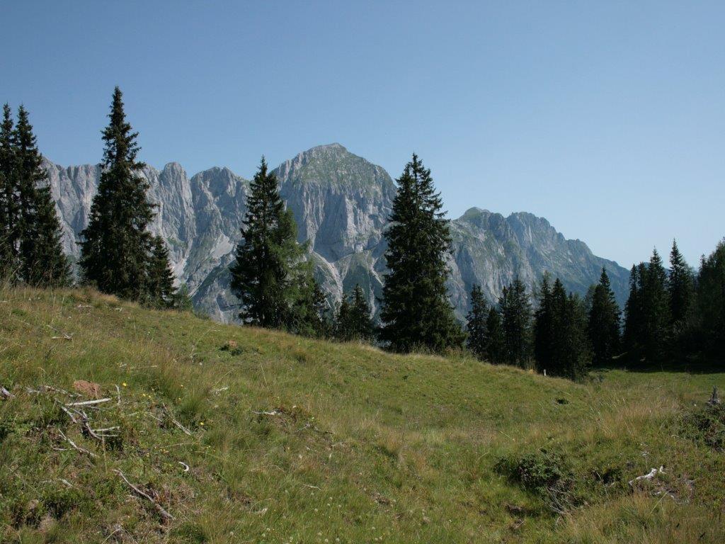 Waldhaus Appartement Sankt Martin am Tennengebirge Buitenkant foto